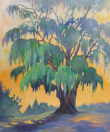 Tree in Gibbons Park - Oil - 24x20
